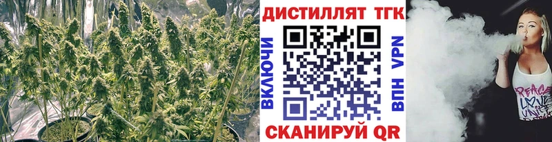 ТГК жижа  купить  сайты  Ленинск-Кузнецкий 